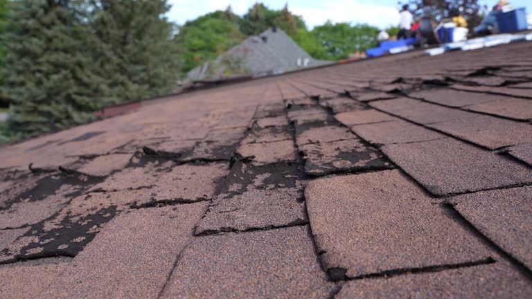 Best 4 Ply Roofing  in Milroy, PA